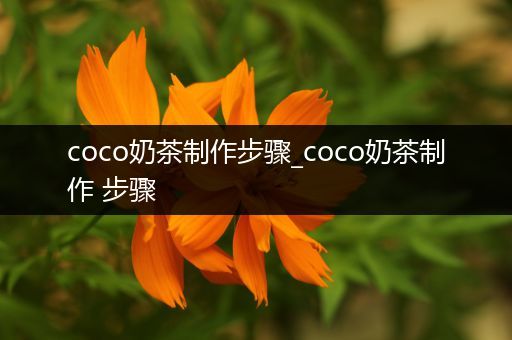 coco奶茶制作步骤_coco奶茶制作 步骤