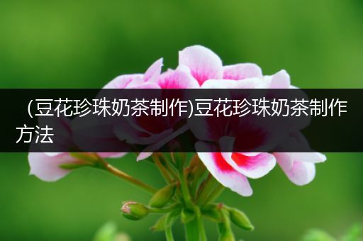 （豆花珍珠奶茶制作)豆花珍珠奶茶制作方法