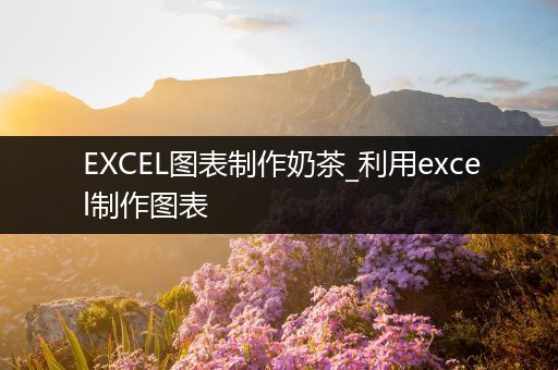 EXCEL图表制作奶茶_利用excel制作图表