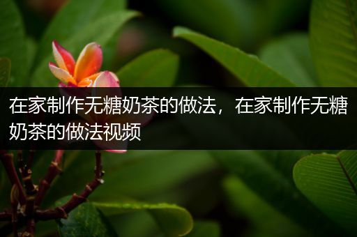 在家制作无糖奶茶的做法，在家制作无糖奶茶的做法视频