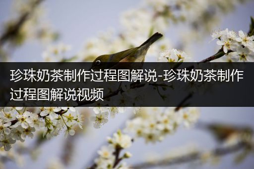 珍珠奶茶制作过程图解说-珍珠奶茶制作过程图解说视频