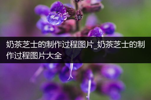 奶茶芝士的制作过程图片_奶茶芝士的制作过程图片大全